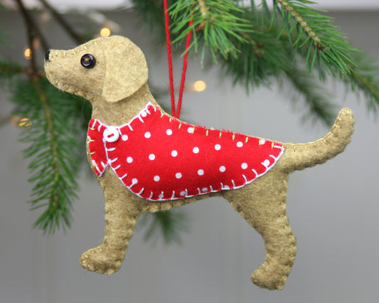 Introducing Custom dogs...